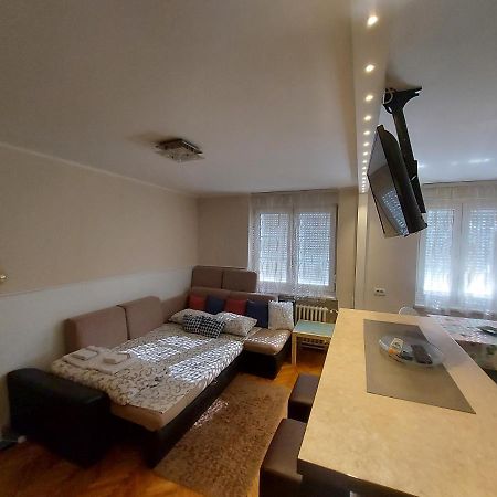 Central Apartment With Garage Novi Sad Ngoại thất bức ảnh
