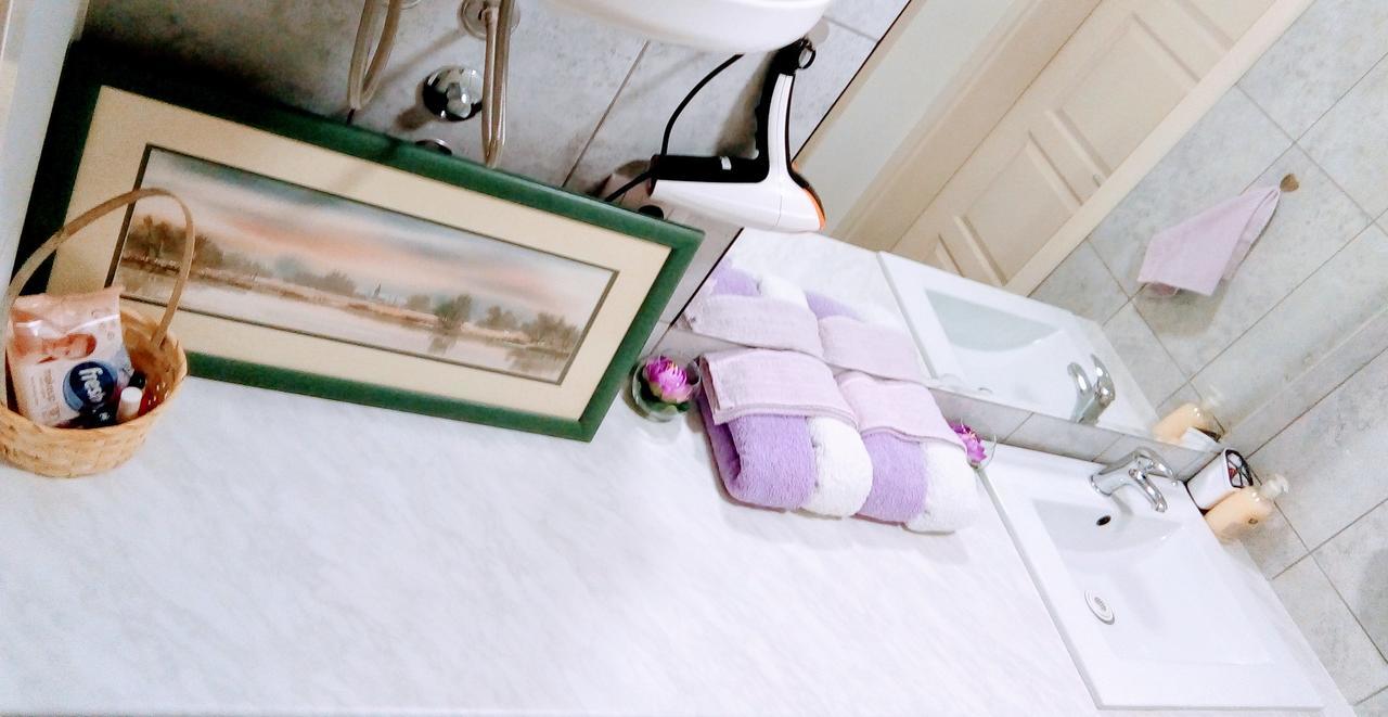 Central Apartment With Garage Novi Sad Ngoại thất bức ảnh